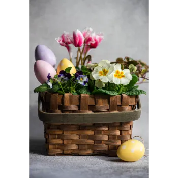 Pansy-Plant (17)-4908849-80309.webp